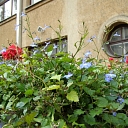 RSU Red Cross Medical College