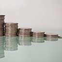 Company establishment and representation in state institutions