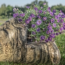 Individual merchant "NORTHERN STONE"