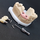 Dental Medical