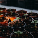 Декор для гроба