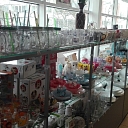 Dish wholesale in Vidzeme