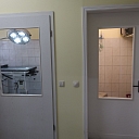 Dzīvnieku stomatoloģija