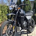 Гималайский