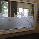 Narkoze dzīvniekiem