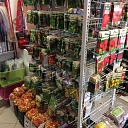 Seeds, plants Valmiera