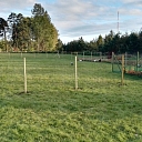 Agricultural fence welded for birds