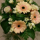 Цветы Елгава