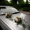 Цветы Елгава