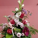 Цветы Елгава