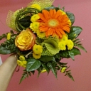 Цветы Елгава