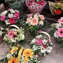 Цветы Елгава