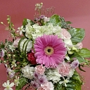 Цветы Елгава