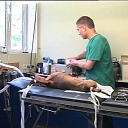 Ветеринарная клиника