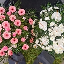 All kinds of undertaking services