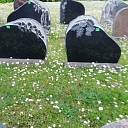 Tombstone making in Sigulda