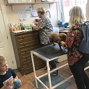 Sloka Veterinary Clinic