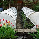 Films for greenhouses