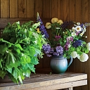 Great sauna, guest house "Beetles"