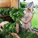 Great sauna, guest house "Beetles"