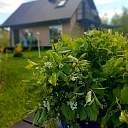 Great sauna, guest house "Beetles"