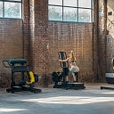 Чистая линия