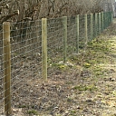 Welded mesh on wooden poles