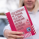 Теория категории B