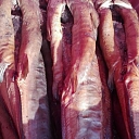 Smoked meat and fish, delivery
