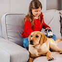 BIOPTRON reduces the feeling of pain in your pets