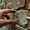 Damp Detectives plaster analysis