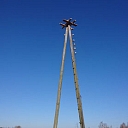 Arboriculture services