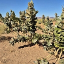 Ceļasoma.lv ceļojums