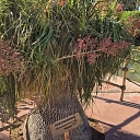 Ceļasoma.lv ceļojums