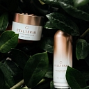 Celltermi mist Moisturizing