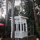 Arbor landscaping