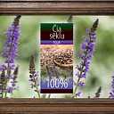 Chia seed oil