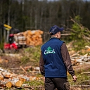 Purchase of forest property