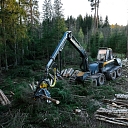 Logging