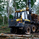 Transportation of trees