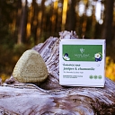 Solid shampoo for damaged hair