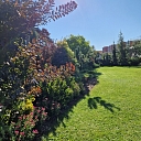 dārza dizains