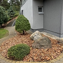 Sakopta mājas priekšpuse