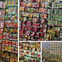 Vegetable seeds