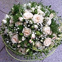 Флористика