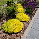 пейзажный сад