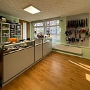 Animal clinical investigation