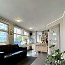 Animal clinical investigation