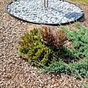 decorative pebbles