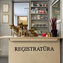 Veterinārā klīnika